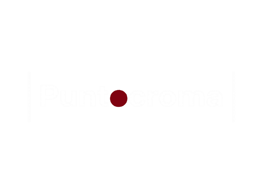 Logo Punto Croma